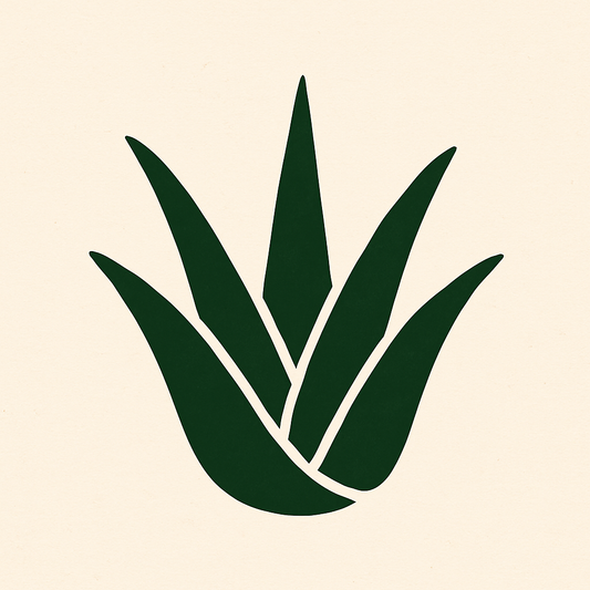 Aloe Barbadensis